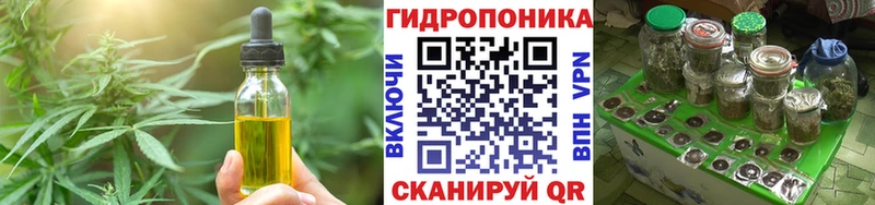 Canna-Cookies конопля Бабаево