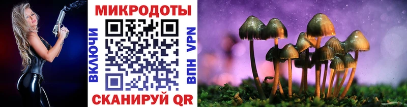 Галлюциногенные грибы MAGIC MUSHROOMS  Бабаево 